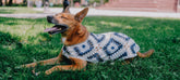 Nazar Crochet Dog Pullover—100% cotton, breathable evil eye design. Lightweight dog sweater that adds protection, comfort & style to every pup.
