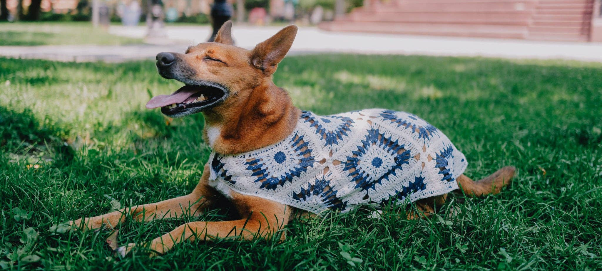 Nazar Crochet Dog Pullover—100% cotton, breathable evil eye design. Lightweight dog sweater that adds protection, comfort &amp; style to every pup.
