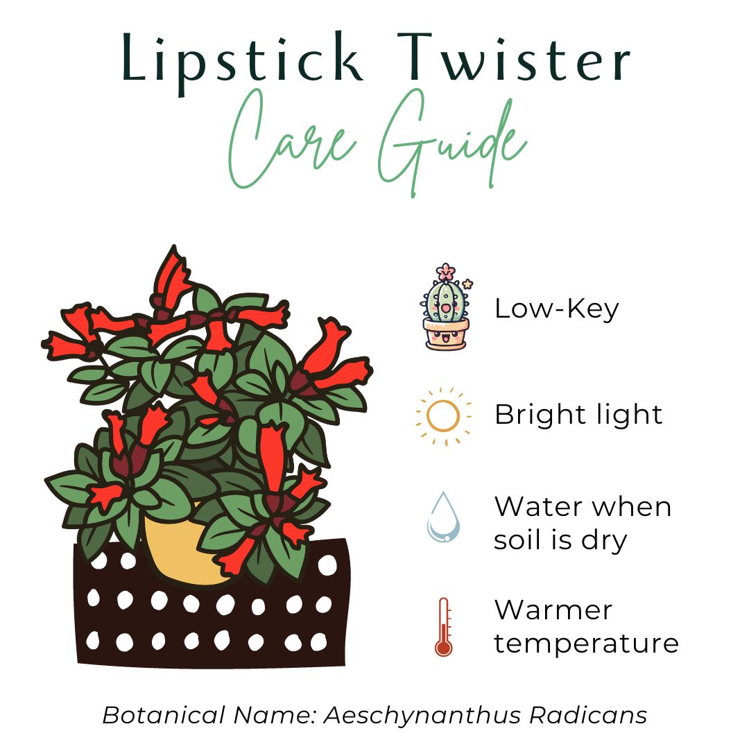 Lipstick &