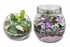 Mini terrarium workshop at Jungle Relics + Relic. Build a layered living terrarium with plants, moss, and stone while enjoying tea in a cozy creative setting.