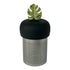 Monstera Leaf Tea Steeper makes loose-leaf tea easy and stylish. Reusable, portable, and dishwasher-safe with stainless mesh for clean, debris-free sipping.