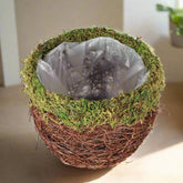 Add woodland charm with this 7" mossy pot, lined with plastic for easy care. Fits 6" plants perfectly—rustic, whimsical, and nature-inspired décor.
