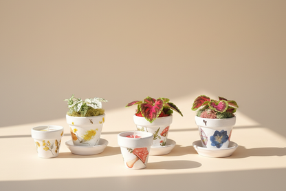 Mother’s Garden Gift Set - Floral Potted Plant, Matching Candle and Card