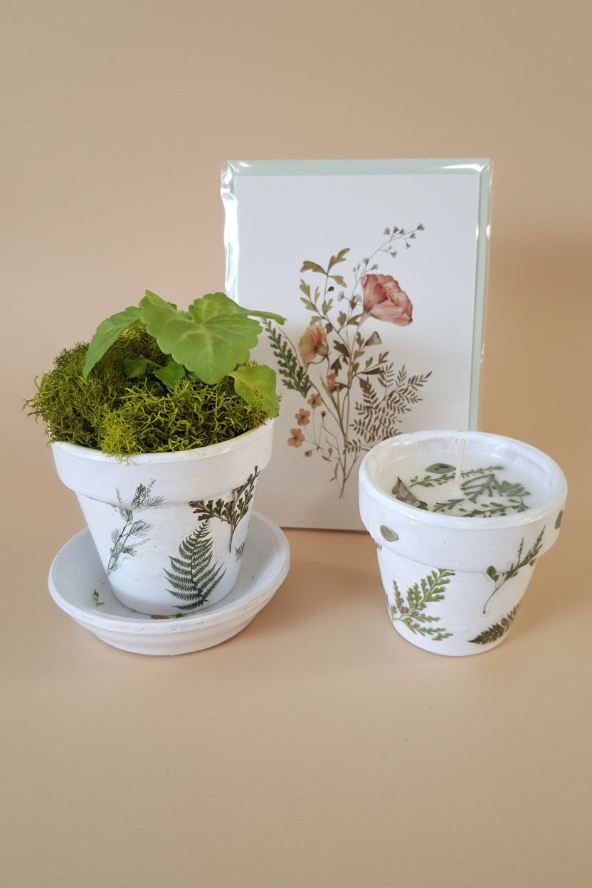 Mother’s Day gift set with live plant, floral terra cotta pot, soy coconut candle, and pressed flower card