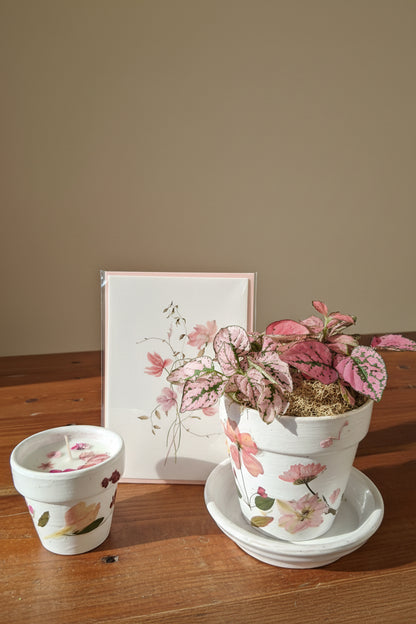 Mother’s Day gift set with live plant, floral terra cotta pot, soy coconut candle, and pressed flower card