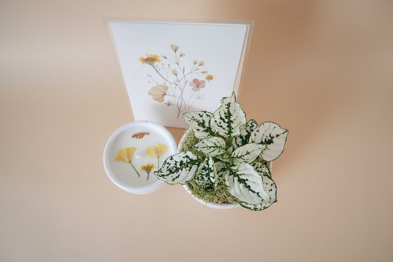 Mother’s Day gift set with live plant, floral terra cotta pot, soy coconut candle, and pressed flower card