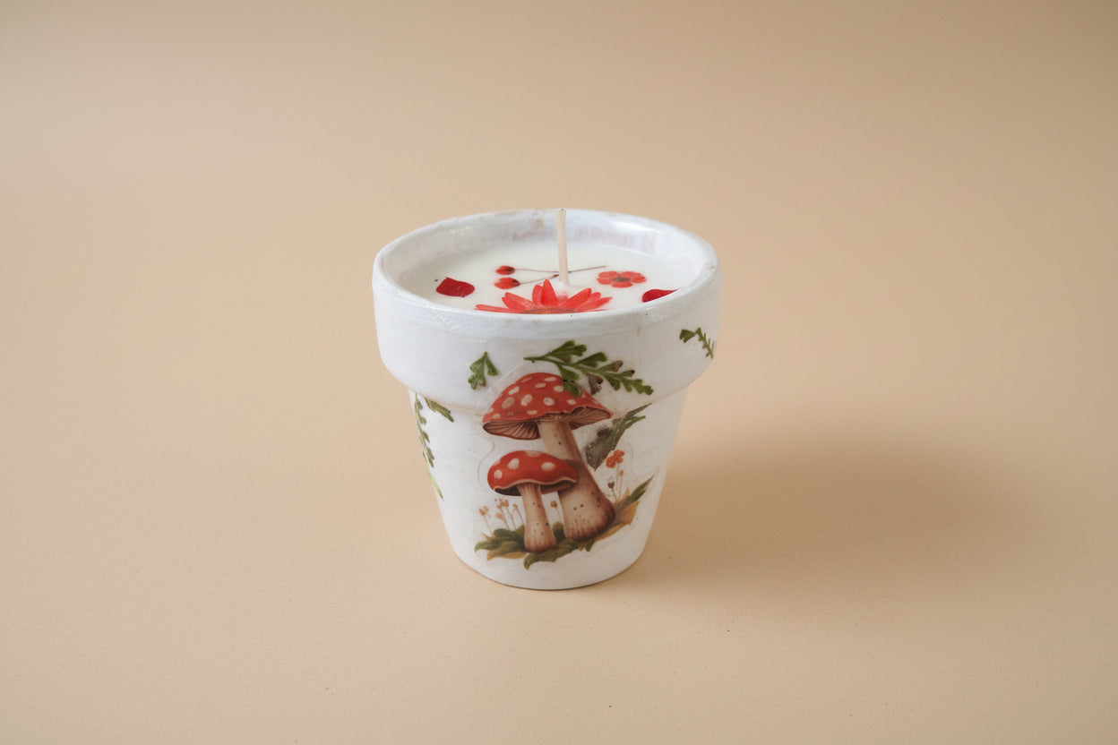 Mother’s Day gift set with live plant, floral terra cotta pot, soy coconut candle, and pressed flower card