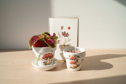 Mother’s Day gift set with live plant, floral terra cotta pot, soy coconut candle, and pressed flower card