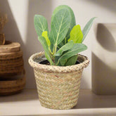 Natural woven pot cover with plastic lining fits 4–4.5" plants. Stylish, earthy cache pot with 2 shade options—perfect for boho or modern décor.