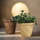 Natural woven pot cover with plastic lining fits 4–4.5" plants. Stylish, earthy cache pot with 2 shade options—perfect for boho or modern décor.