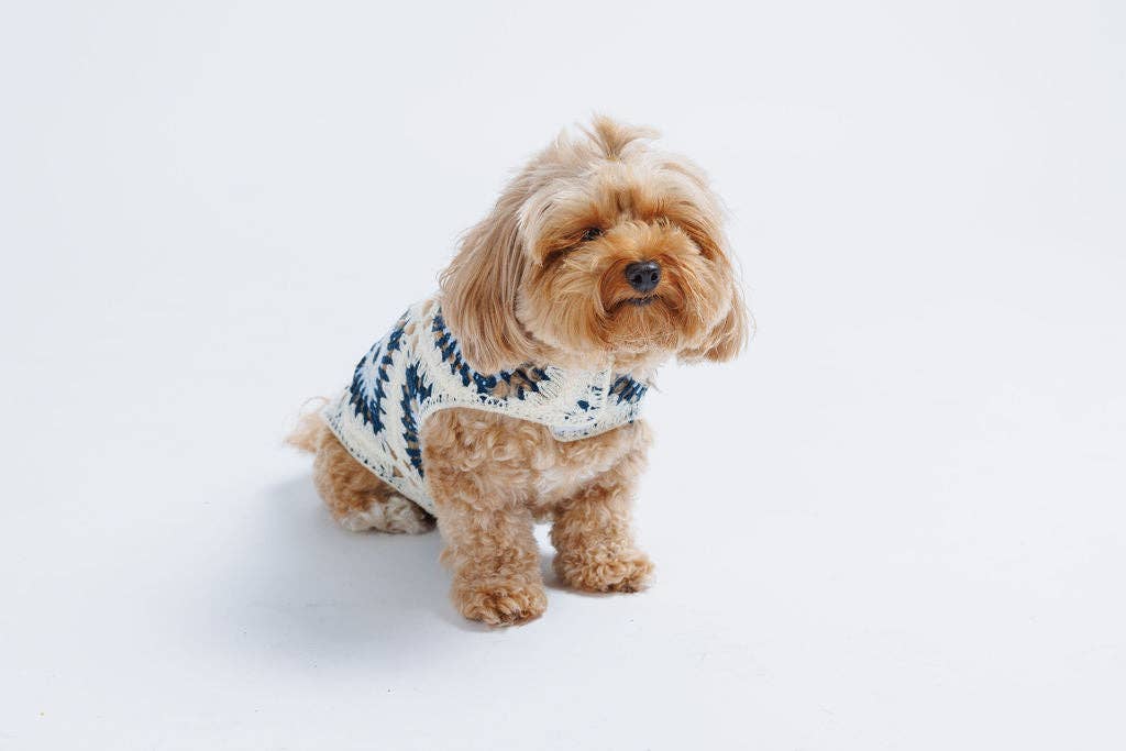 Nazar Crochet Dog Pullover—100% cotton, breathable evil eye design. Lightweight dog sweater that adds protection, comfort &amp; style to every pup.