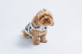 Nazar Crochet Dog Pullover—100% cotton, breathable evil eye design. Lightweight dog sweater that adds protection, comfort & style to every pup.