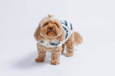 Nazar Crochet Dog Pullover—100% cotton, breathable evil eye design. Lightweight dog sweater that adds protection, comfort & style to every pup.