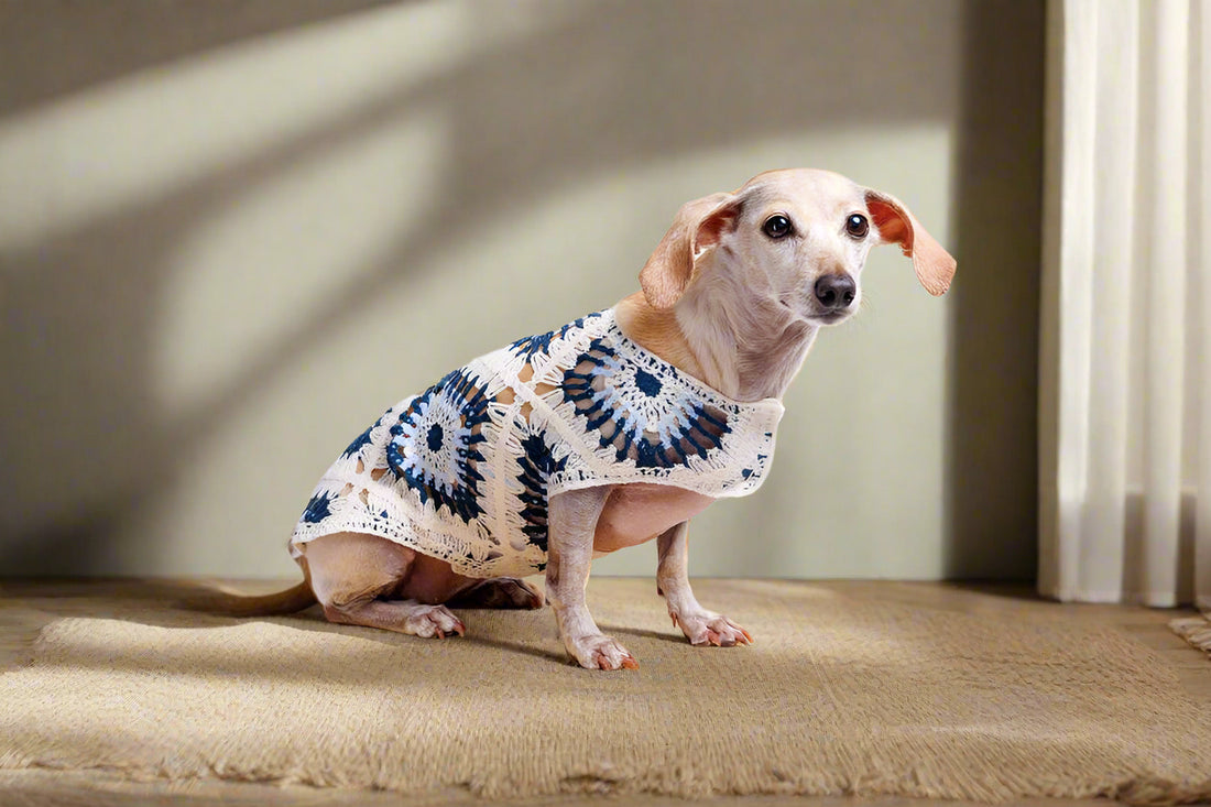 Nazar Crochet Dog Pullover Shirt—100% cotton, breathable evil eye design. Lightweight dog sweater that adds protection, comfort &amp; style to every pup.