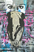 Notorious is a bold 36"x48" mixed media artwork blending street art and graffiti with urban textures. Featuring a masked figure against a backdrop of vibrant pink, blue, and muted tones, it embodies rebellion and raw energy. Perfect for modern spaces, it pairs beautifully with a Monstera plant to create an edgy, balanced aesthetic.