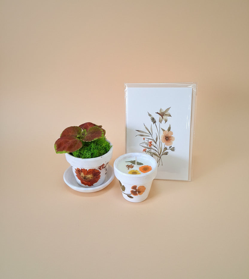 Mother’s Day gift set with live plant, floral terra cotta pot, soy coconut candle, and pressed flower card