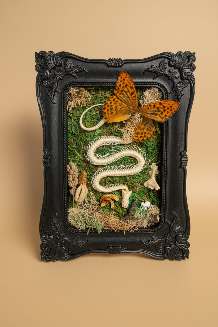 Fantastical Creatures framed oddity art with butterflies, skeletons, moss &amp; found objects. Handcrafted dark botanical décor inspired by nature and magic.