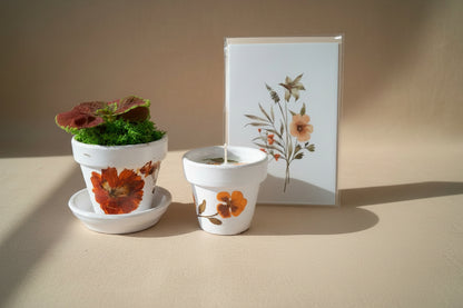 Mother’s Day gift set with live plant, floral terra cotta pot, soy coconut candle, and pressed flower card