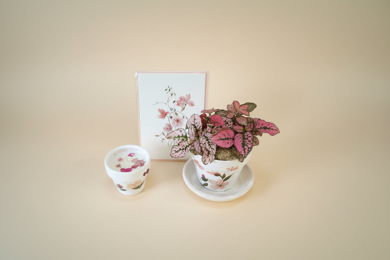 Mother’s Day gift set with live plant, floral terra cotta pot, soy coconut candle, and pressed flower card