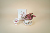 Mother’s Day gift set with live plant, floral terra cotta pot, soy coconut candle, and pressed flower card