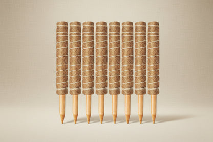 Support your indoor climbing plants with ease using Moss Poles. Perfect for Monsteras, pothos, and other climbers, these stackable poles promote upward growth and are made from natural, breathable coconut coir.