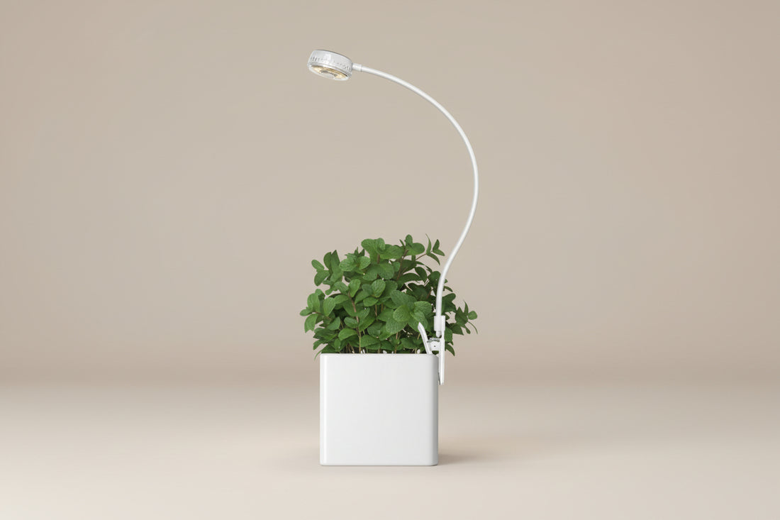 Pot clip grow lights for indoor plants with full spectrum LED, timer, dimming levels, and flexible gooseneck. Energy-efficient 5V USB