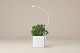 Pot clip grow lights for indoor plants with full spectrum LED, timer, dimming levels, and flexible gooseneck. Energy-efficient 5V USB