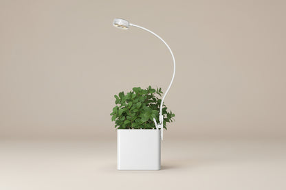 Pot clip grow lights for indoor plants with full spectrum LED, timer, dimming levels, and flexible gooseneck. Energy-efficient 5V USB