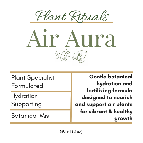 Air Aura Air Plant Soak + Mist - Plant Ritual Plant Care
