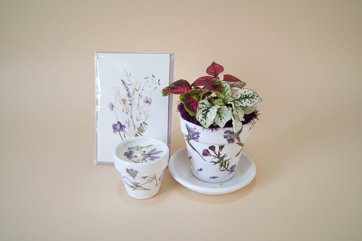 Mother’s Day gift set with live plant, floral terra cotta pot, soy coconut candle, and pressed flower card