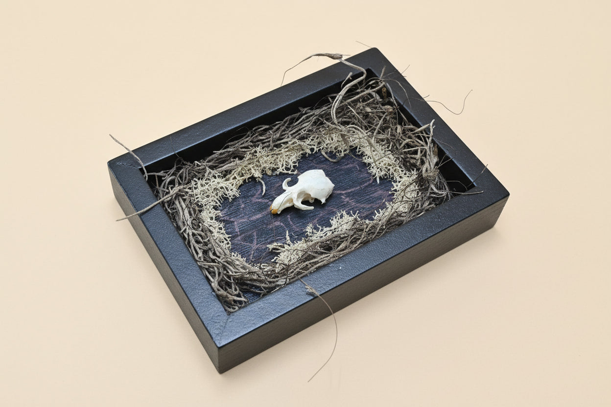 Nature shadow boxes featuring preserved flowers, moss, reeds, butterflies, and insects in 3.5"–5" standing frames. One-of-a-kind botanical curiosity decor. 