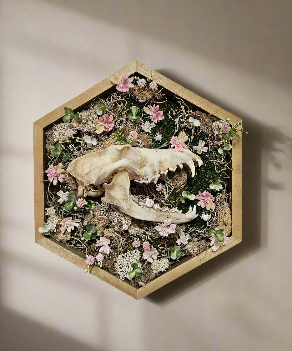 Desert Coyote by Ryan Doran is a 12.5&quot; mixed-media art piece featuring a coyote skull surrounded by preserved pink wildflowers in an octagonal wooden frame. This striking installation blends desert resilience with delicate natural beauty, making it a captivating addition to any space.