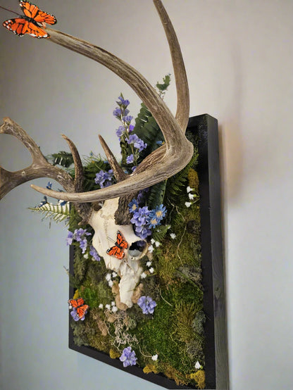 Reclamation by Ryan Doran is a 14&quot;x18&quot; mixed-media art piece featuring a partially decorated deer skull adorned with flowers, preserved moss, and ferns. Framed in sleek black wood, it symbolizes nature&