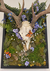 Reclamation by Ryan Doran is a 14"x18" mixed-media art piece featuring a partially decorated deer skull adorned with flowers, preserved moss, and ferns. Framed in sleek black wood, it symbolizes nature&