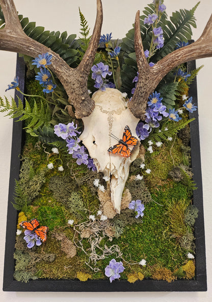 Reclamation by Ryan Doran is a 14&quot;x18&quot; mixed-media art piece featuring a partially decorated deer skull adorned with flowers, preserved moss, and ferns. Framed in sleek black wood, it symbolizes nature&