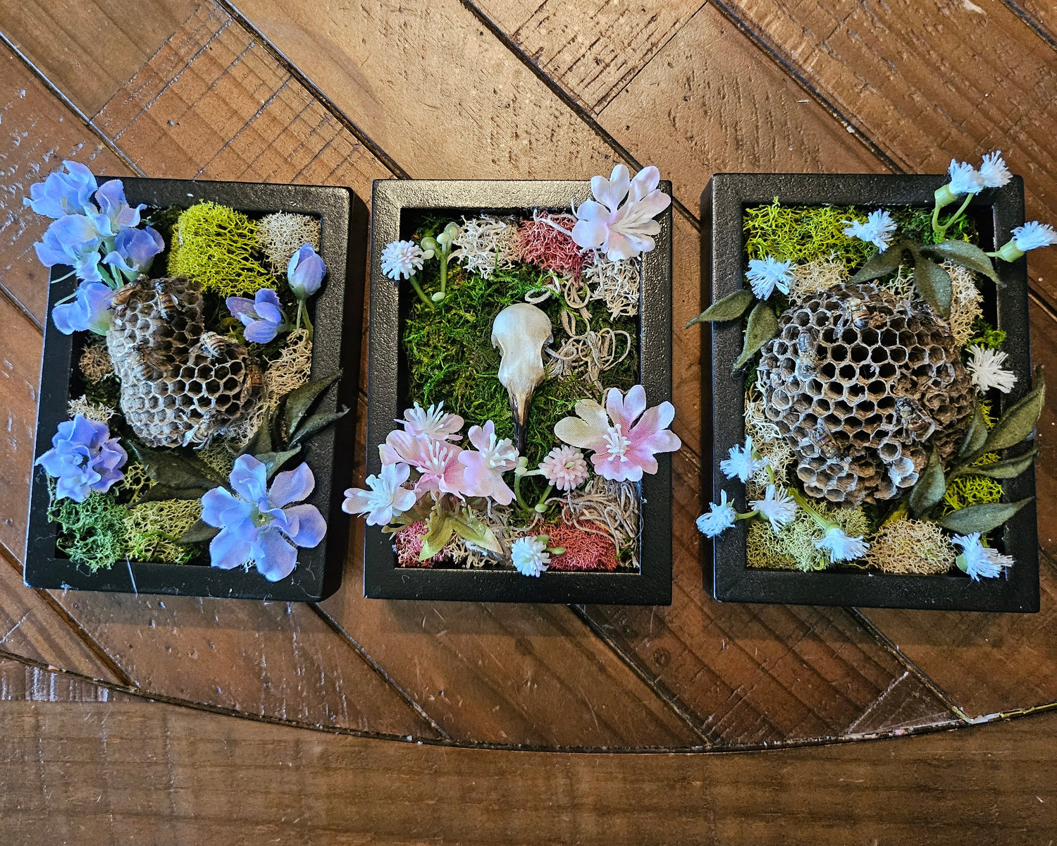 Reclamation Relics are 3.5&quot; x 5&quot; taxidermy shadow boxes with moss, flowers, bees, skulls, and wasp nests—haunting miniatures of nature&
