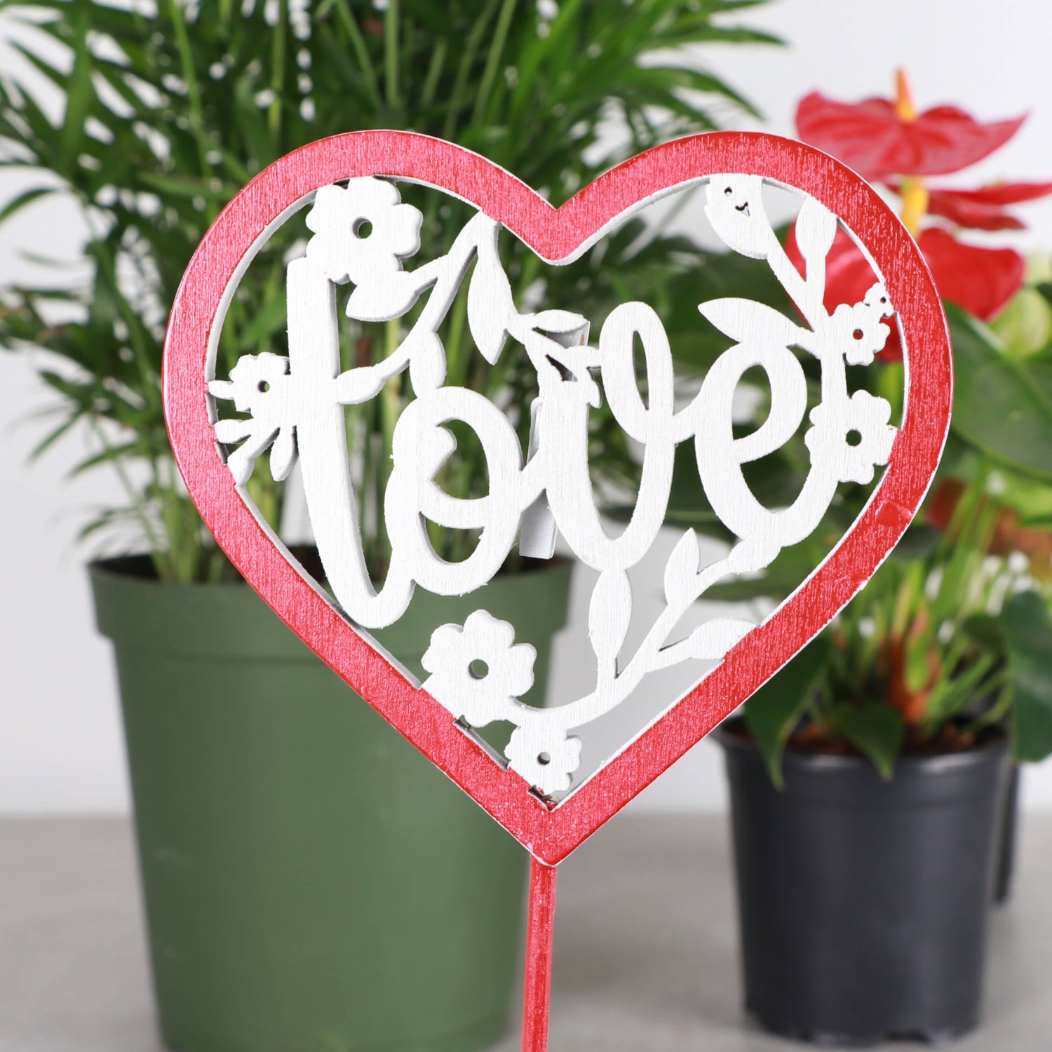 Wooden heart plant picks with built-in clip for cards or notes. Perfect finishing touch for houseplant gifts. Trim-to-fit 18" stake. No plants included.