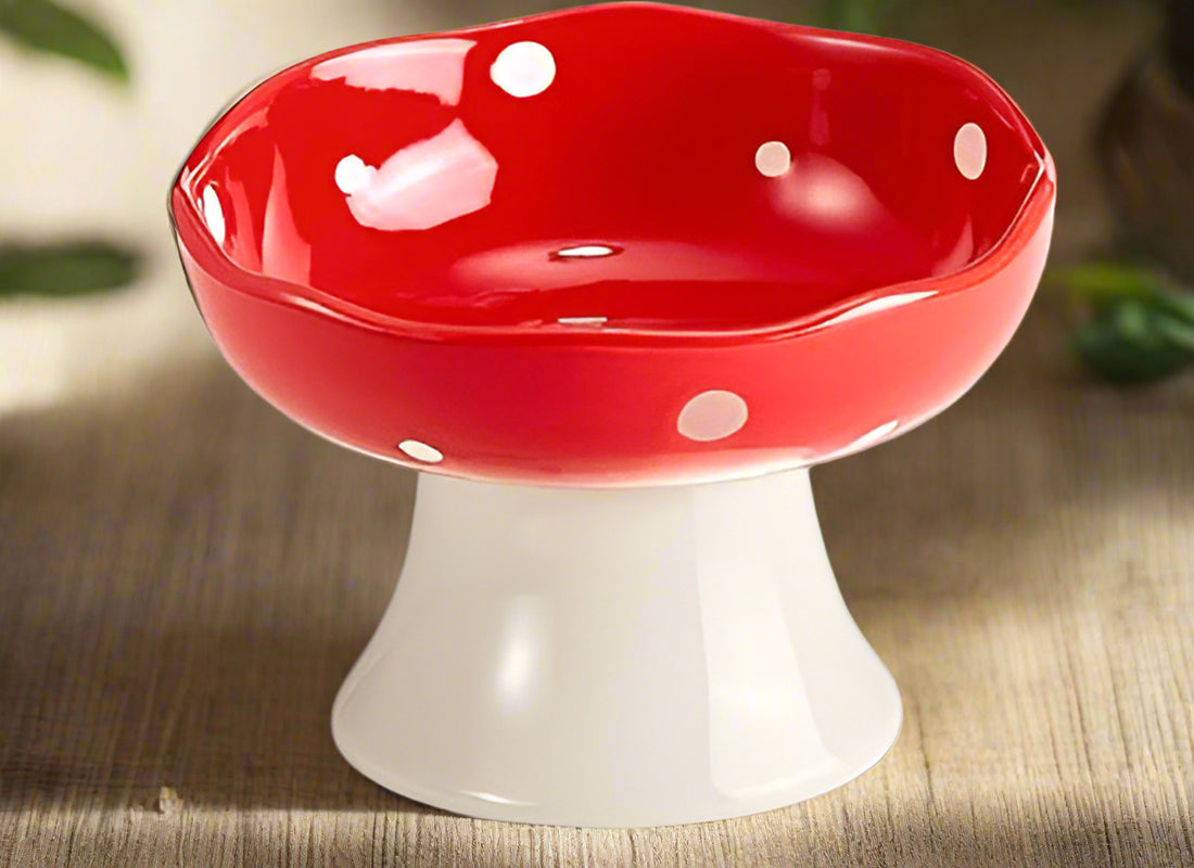 Red ceramic mushroom pet bowl with elevated tilted design. Whisker-friendly, easy to clean, and perfect for cats, kittens, and small dogs.