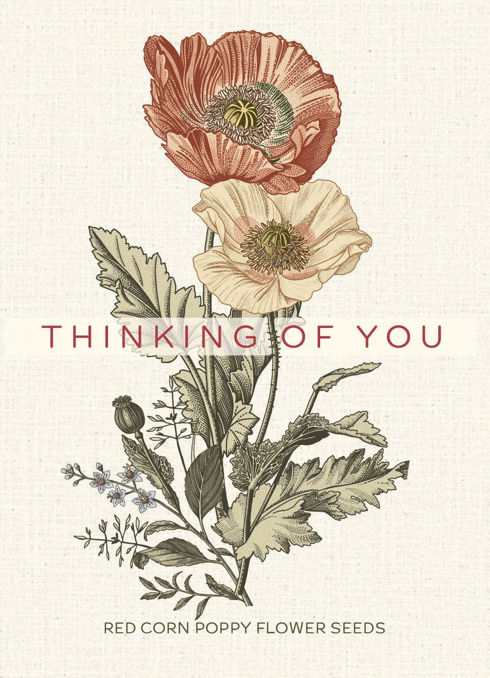 Thinking of You vintage red corn poppy seed packets. Classic remembrance flowers with Victorian art — an easy-to-grow, meaningful garden gift.
