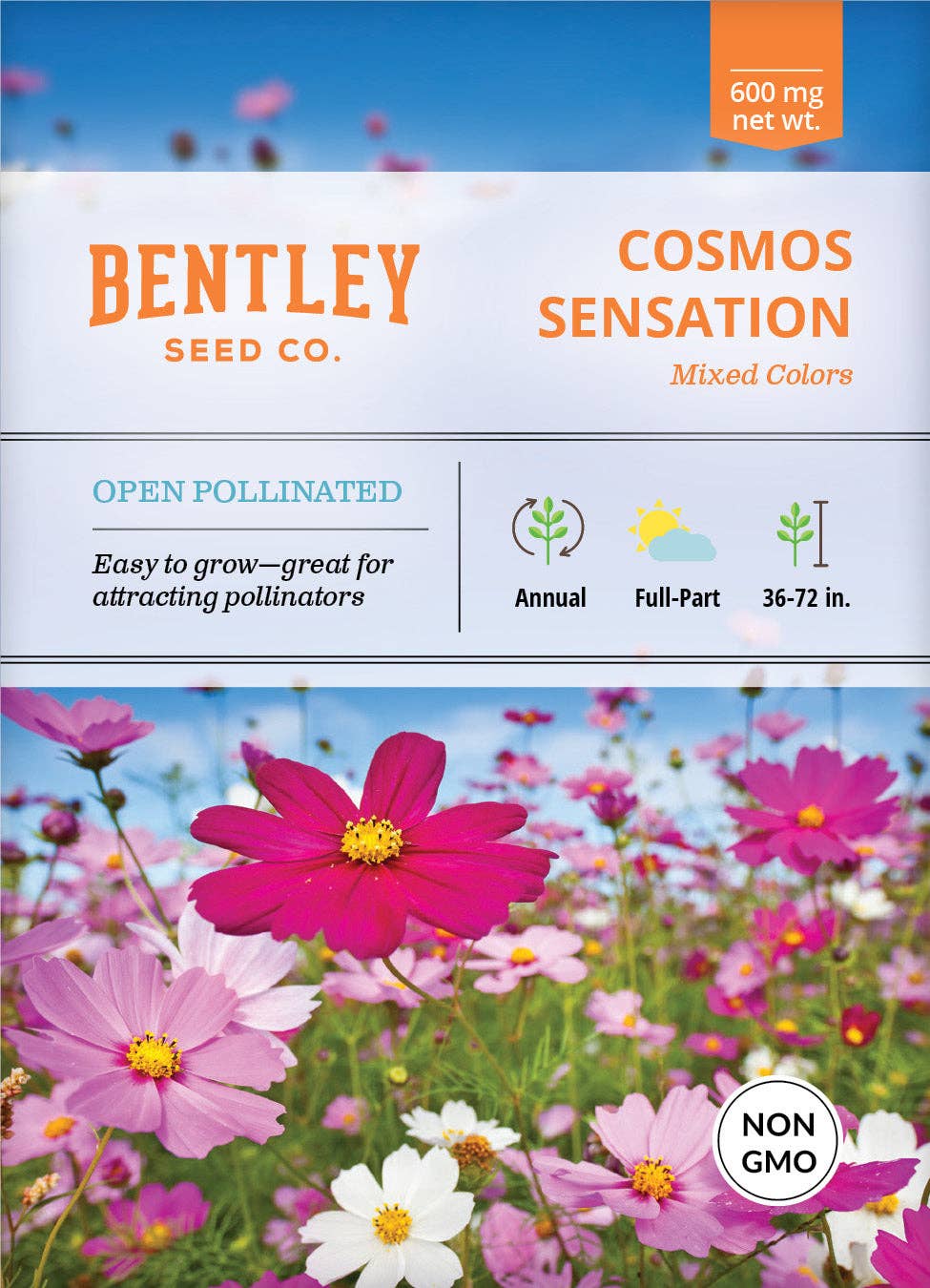 Seed Sensation Cosmos seeds with pink, purple, and white blooms. Easy-to-grow cottage garden flowers that attract bees and butterflies all summer.