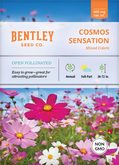Seed Sensation Cosmos seeds with pink, purple, and white blooms. Easy-to-grow cottage garden flowers that attract bees and butterflies all summer.