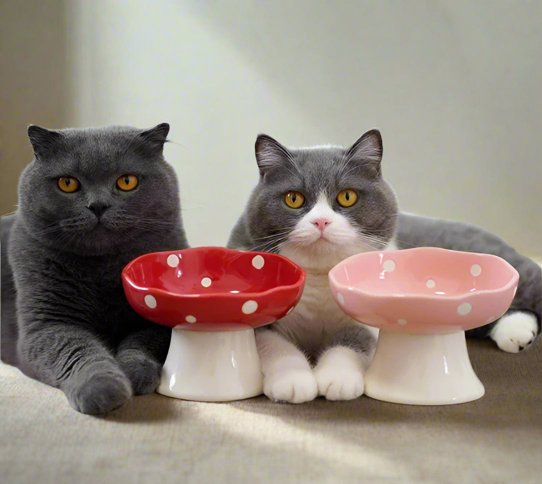 Red ceramic mushroom pet bowl with elevated tilted design. Whisker-friendly, easy to clean, and perfect for cats, kittens, and small dogs.