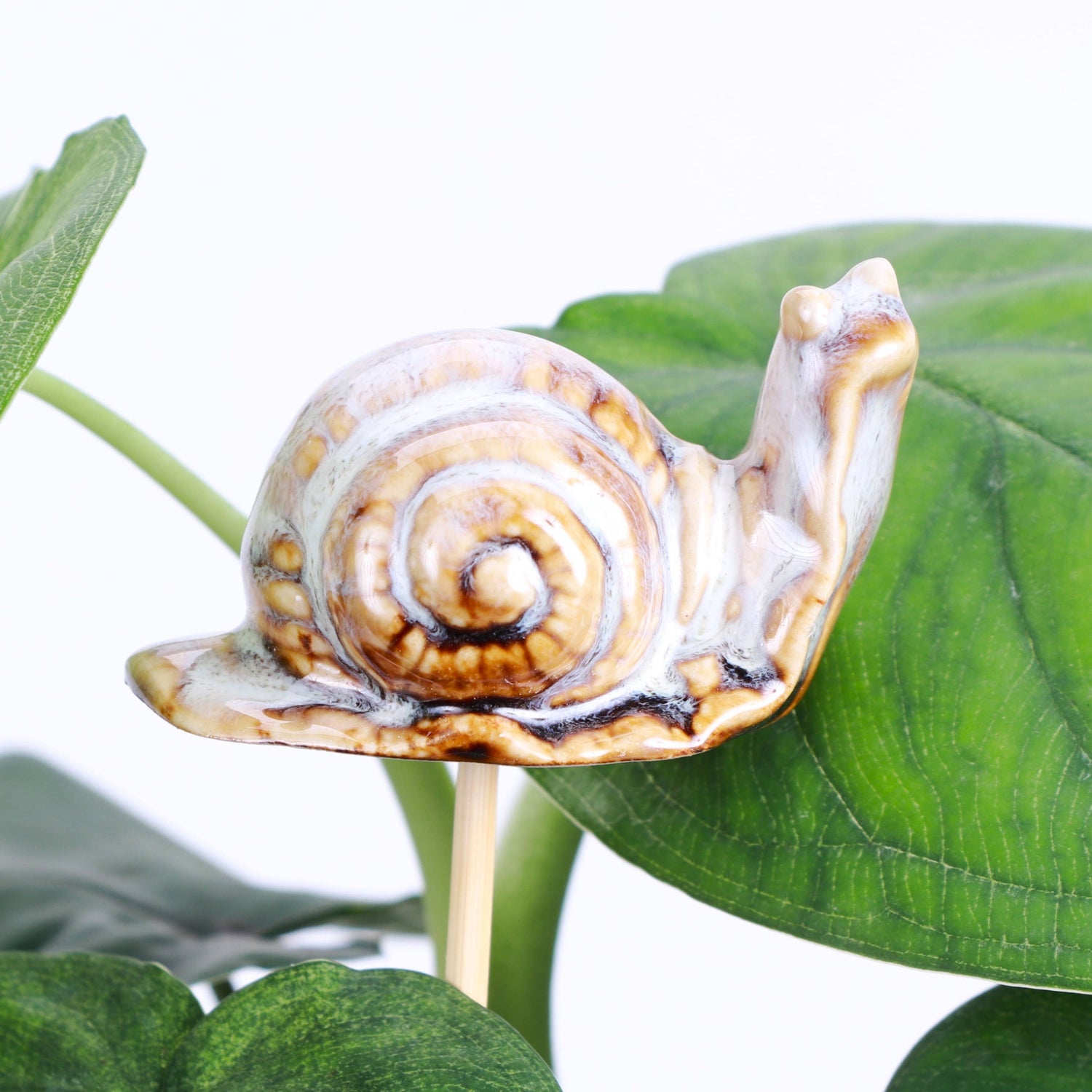 Whimsical ceramic animal plant stakes add charm to any pot or garden. Three cute designs, each 3" wide on a 9" wooden stake. Perfect for gifting—plants not included.