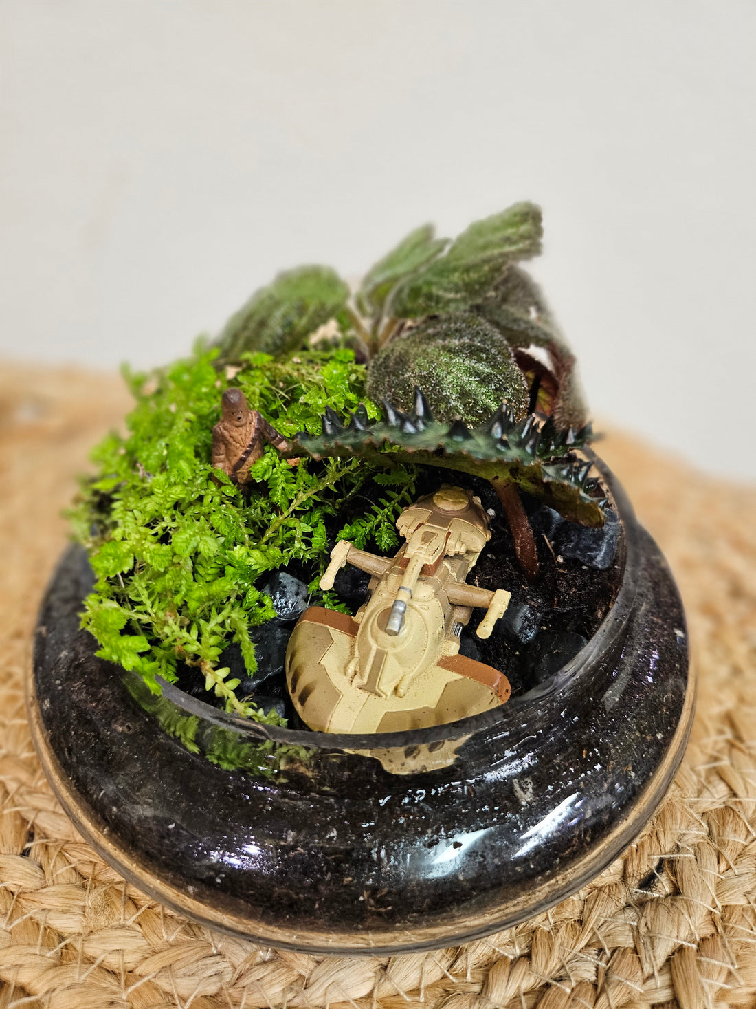 Elevate your home or office with a custom terrarium that’s as unique as you are. Whether you’re a fan of lush greenery, imaginative decor, or both, our custom terrariums are a perfect way to bring a touch of nature and creativity into your life.