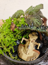 Elevate your home or office with a custom terrarium that’s as unique as you are. Whether you’re a fan of lush greenery, imaginative decor, or both, our custom terrariums are a perfect way to bring a touch of nature and creativity into your life.