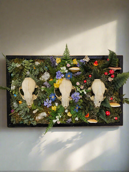 Three Sisters by Ryan Doran is a 12&quot; x 18&quot; preserved mixed-media moss art installation featuring three raccoon skulls surrounded by flowers, mushrooms, and trinkets. Framed in sleek black wood, it symbolizes love, memory, and legacy, blending natural beauty with timeless storytelling. Low-maintenance and visually striking.
