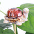 Whimsical ceramic animal plant stakes add charm to any pot or garden. Three cute designs, each 3" wide on a 9" wooden stake. Perfect for gifting—plants not included.