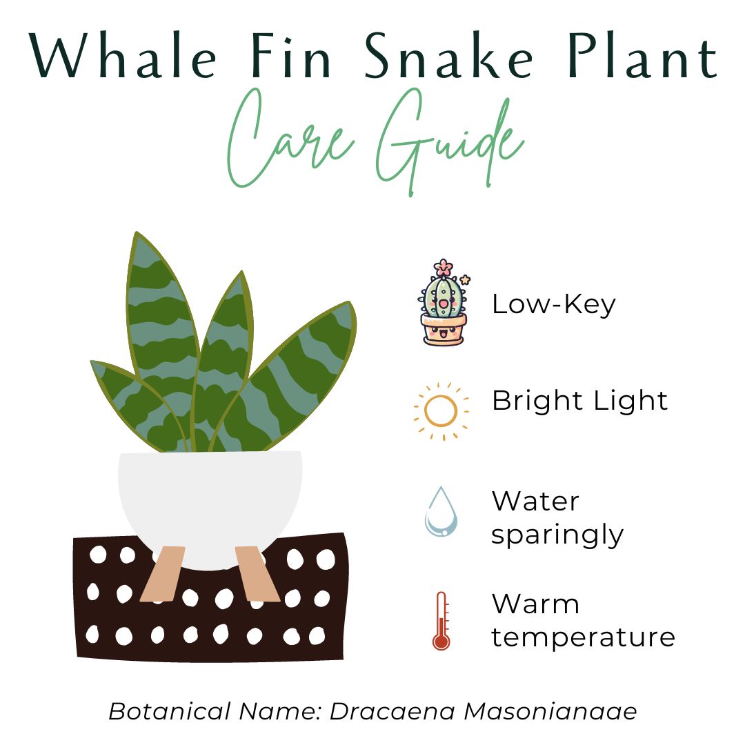 Care Guide