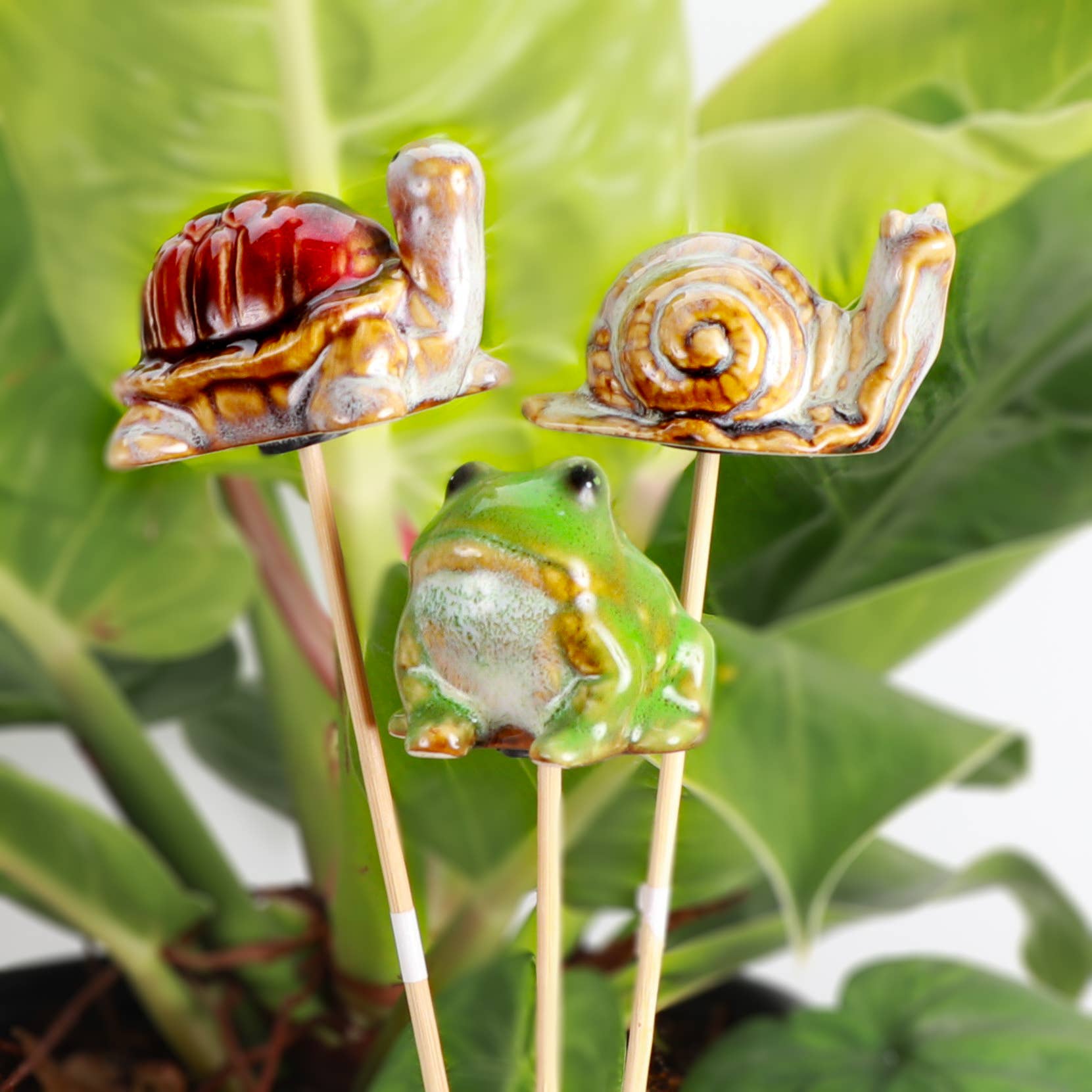 Whimsical ceramic animal plant stakes add charm to any pot or garden. Three cute designs, each 3" wide on a 9" wooden stake. Perfect for gifting—plants not included.