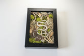 Snake skeleton and real butterfly preserved moss wall art in a 6x8 black frame. Mixed-media nature artwork blending preserved moss, insects, and skeletal forms.